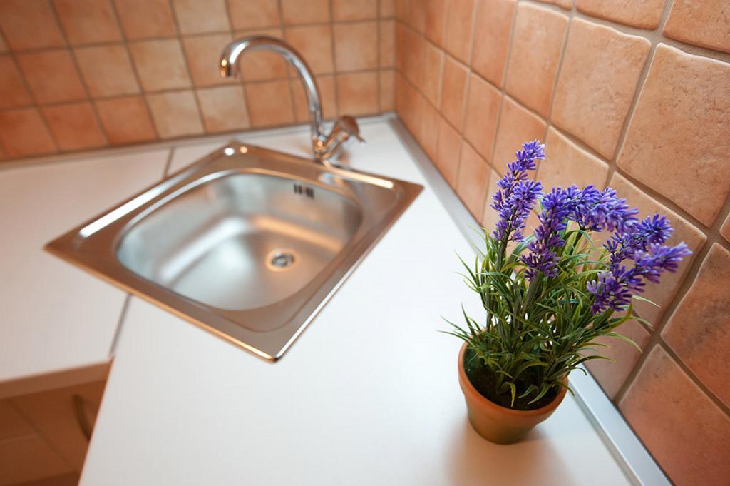 Viola Apartment Zadar Eksteriør bilde